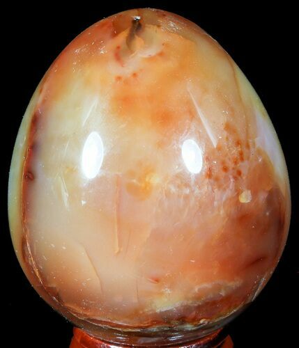 Colorful Carnelian Agate Egg #55533